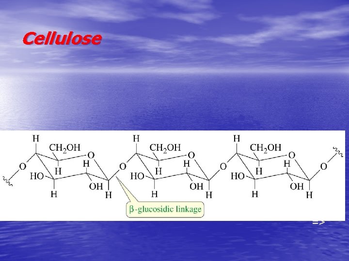 Cellulose => 