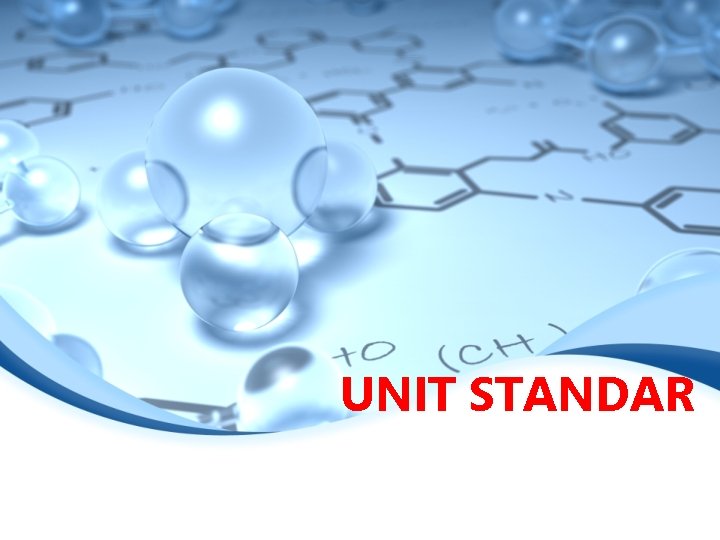 UNIT STANDAR 