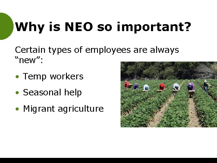 Why is NEO so important? Certain types of employees are always “new”: • Temp