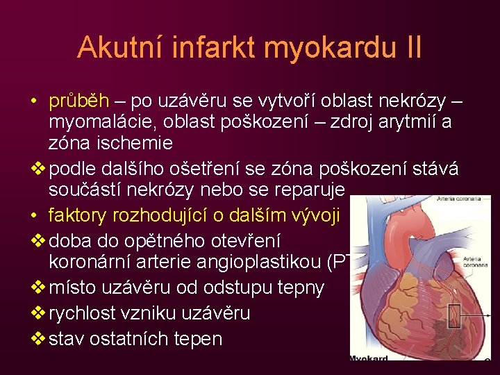 Akutní infarkt myokardu II • průběh – po uzávěru se vytvoří oblast nekrózy –