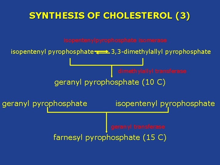 SYNTHESIS OF CHOLESTEROL (3) isopentenylpyrophosphate isomerase isopentenyl pyrophosphate 3, 3 -dimethylallyl pyrophosphate dimethylallyl transferase