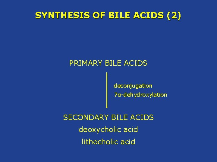 SYNTHESIS OF BILE ACIDS (2) PRIMARY BILE ACIDS deconjugation 7α-dehydroxylation SECONDARY BILE ACIDS deoxycholic