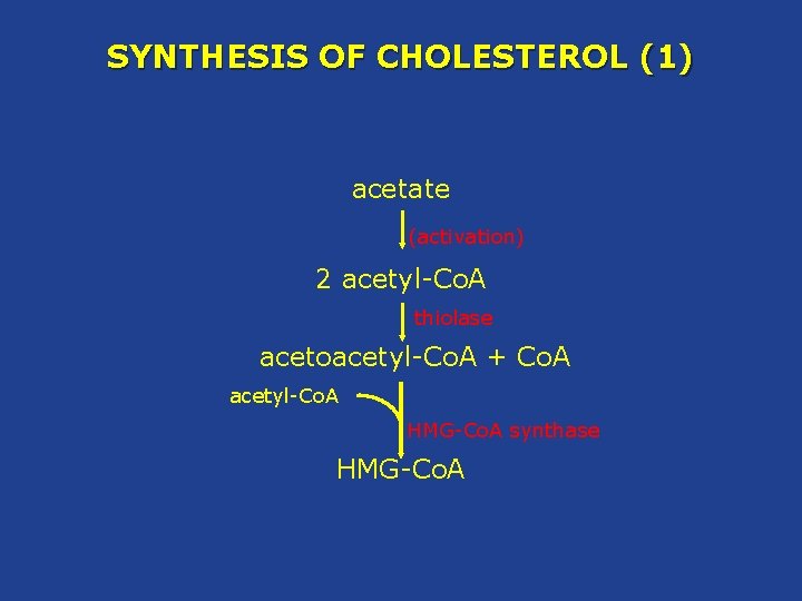 SYNTHESIS OF CHOLESTEROL (1) acetate (activation) 2 acetyl-Co. A thiolase acetoacetyl-Co. A + Co.