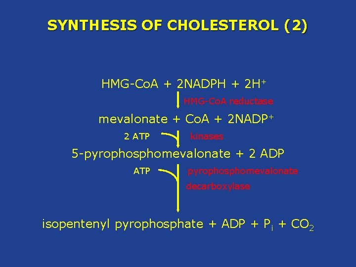 SYNTHESIS OF CHOLESTEROL (2) HMG-Co. A + 2 NADPH + 2 H+ HMG-Co. A