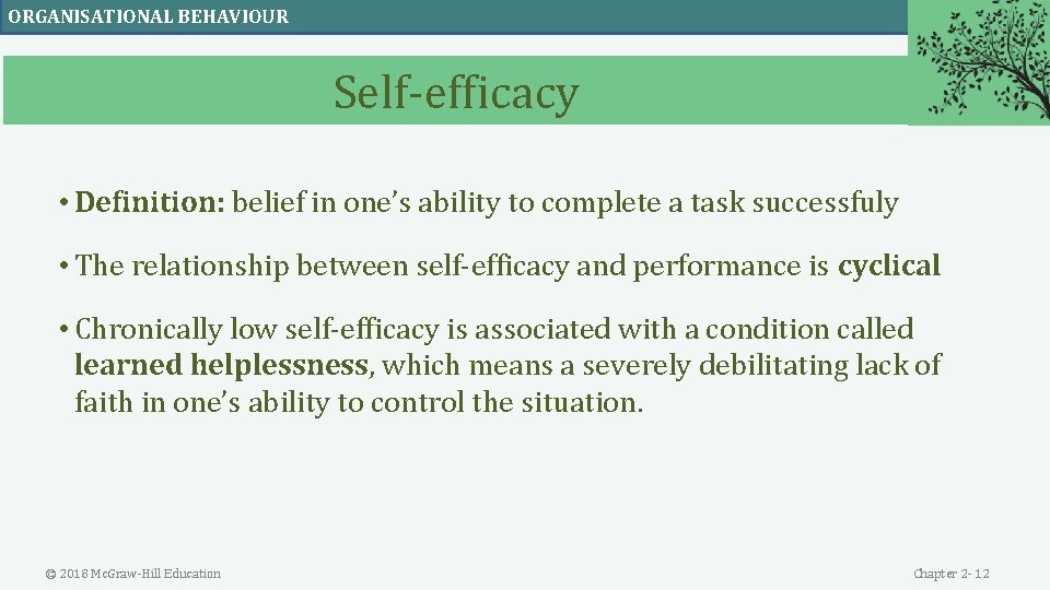 ORGANISATIONAL BEHAVIOUR Self-efficacy • Definition: belief in one’s ability to complete a task successfuly