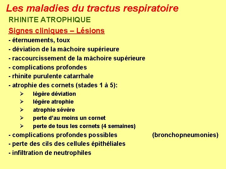 Les maladies du tractus respiratoire RHINITE ATROPHIQUE Signes cliniques – Lésions - éternuements, toux