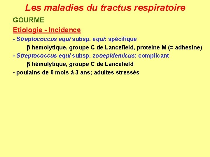 Les maladies du tractus respiratoire GOURME Etiologie - Incidence - Streptococcus equi subsp. equi: