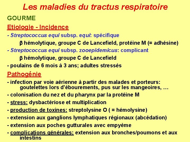 Les maladies du tractus respiratoire GOURME Etiologie - Incidence - Streptococcus equi subsp. equi: