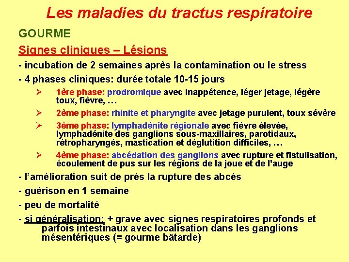 Les maladies du tractus respiratoire GOURME Signes cliniques – Lésions - incubation de 2