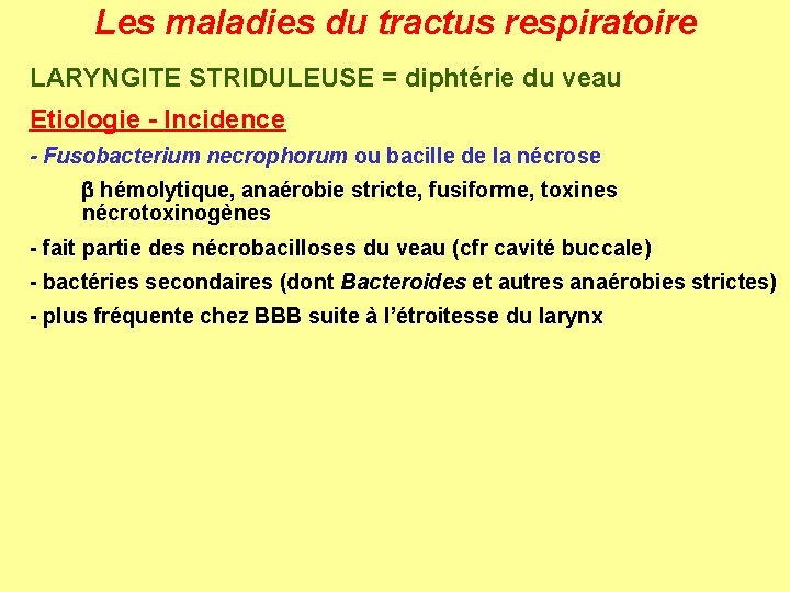 Les maladies du tractus respiratoire LARYNGITE STRIDULEUSE = diphtérie du veau Etiologie - Incidence