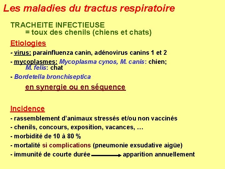 Les maladies du tractus respiratoire TRACHEITE INFECTIEUSE = toux des chenils (chiens et chats)