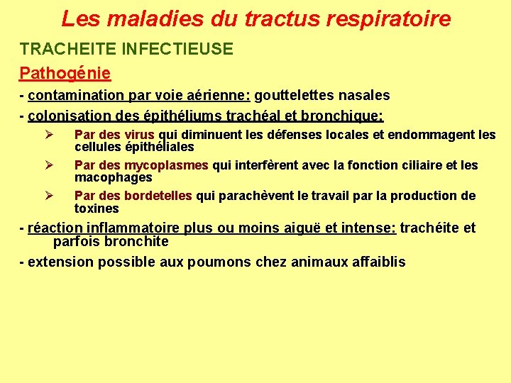 Les maladies du tractus respiratoire TRACHEITE INFECTIEUSE Pathogénie - contamination par voie aérienne: gouttelettes