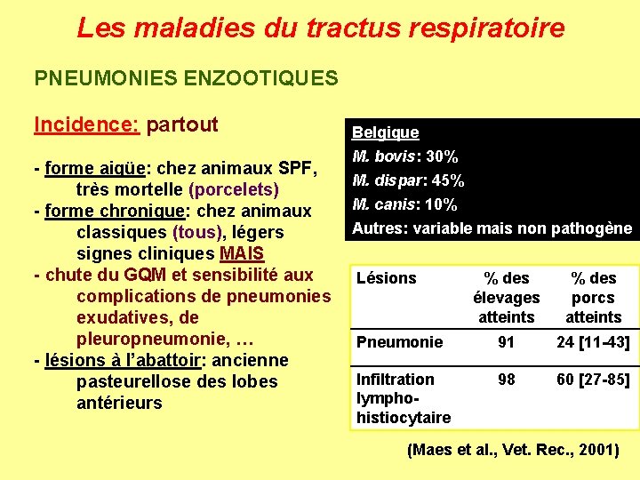 Les maladies du tractus respiratoire PNEUMONIES ENZOOTIQUES Incidence: partout Belgique M. bovis: 30% M.