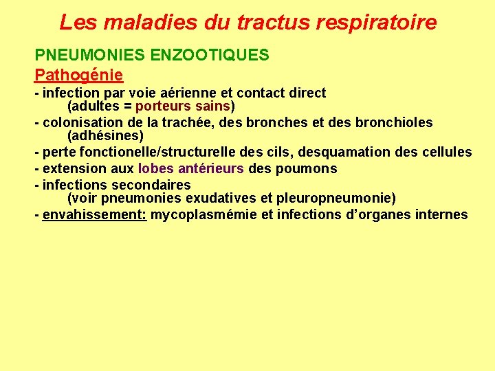 Les maladies du tractus respiratoire PNEUMONIES ENZOOTIQUES Pathogénie - infection par voie aérienne et