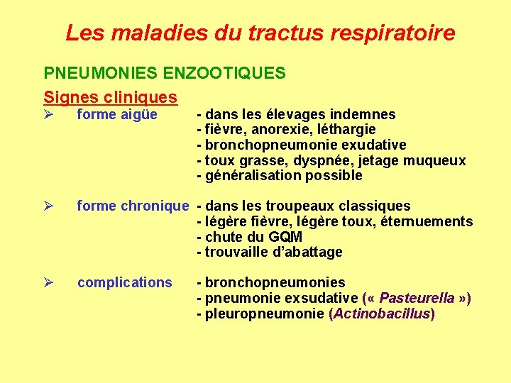 Les maladies du tractus respiratoire PNEUMONIES ENZOOTIQUES Signes cliniques Ø forme aigüe Ø forme