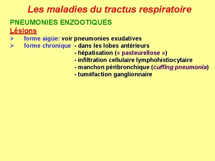 Les maladies du tractus respiratoire PNEUMONIES ENZOOTIQUES Lésions Ø Ø forme aigüe: voir pneumonies