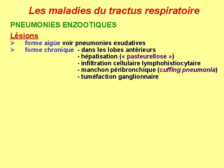 Les maladies du tractus respiratoire PNEUMONIES ENZOOTIQUES Lésions Ø Ø forme aigüe voir pneumonies