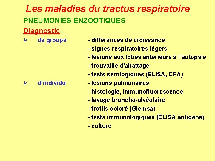 Les maladies du tractus respiratoire PNEUMONIES ENZOOTIQUES Diagnostic Ø de groupe Ø d’individu -