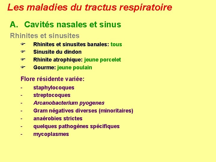 Les maladies du tractus respiratoire A. Cavités nasales et sinus Rhinites et sinusites F