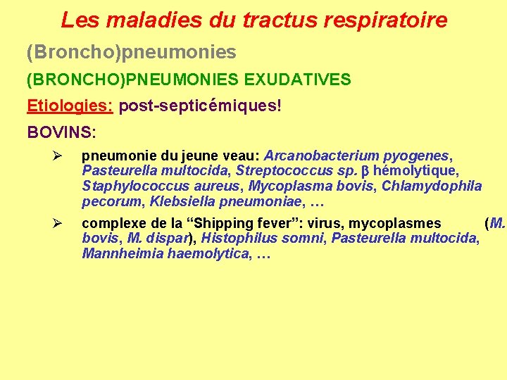 Les maladies du tractus respiratoire (Broncho)pneumonies (BRONCHO)PNEUMONIES EXUDATIVES Etiologies: post-septicémiques! BOVINS: Ø pneumonie du