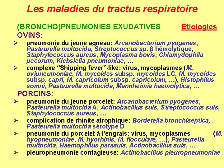 Les maladies du tractus respiratoire (BRONCHO)PNEUMONIES EXUDATIVES OVINS: Ø Ø Etiologies pneumonie du jeune