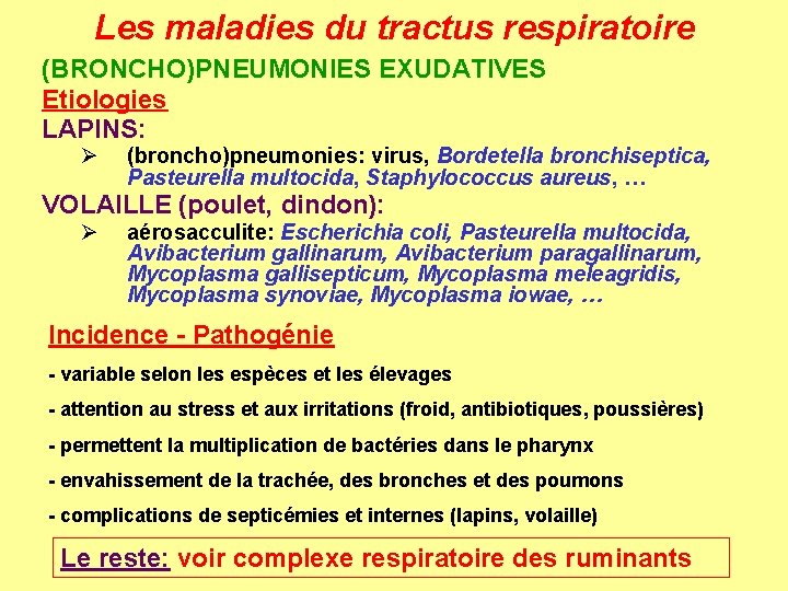 Les maladies du tractus respiratoire (BRONCHO)PNEUMONIES EXUDATIVES Etiologies LAPINS: Ø (broncho)pneumonies: virus, Bordetella bronchiseptica,