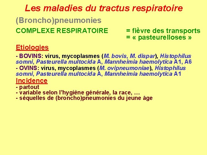 Les maladies du tractus respiratoire (Broncho)pneumonies COMPLEXE RESPIRATOIRE = fièvre des transports = «