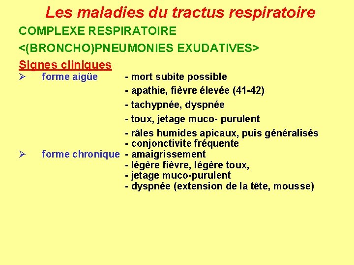 Les maladies du tractus respiratoire COMPLEXE RESPIRATOIRE <(BRONCHO)PNEUMONIES EXUDATIVES> Signes cliniques Ø Ø forme