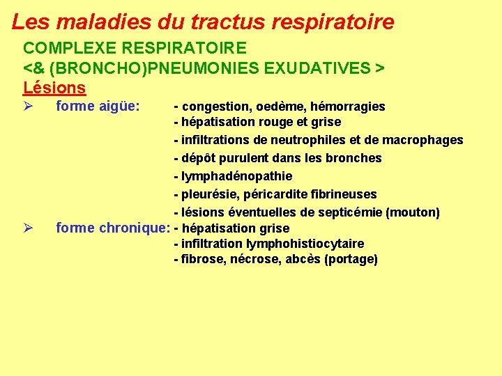 Les maladies du tractus respiratoire COMPLEXE RESPIRATOIRE <& (BRONCHO)PNEUMONIES EXUDATIVES > Lésions Ø Ø