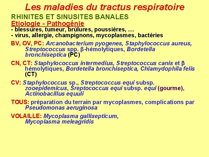 Les maladies du tractus respiratoire RHINITES ET SINUSITES BANALES Etiologie - Pathogénie - blessures,