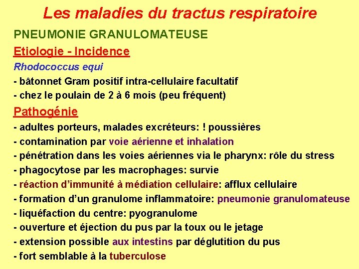 Les maladies du tractus respiratoire PNEUMONIE GRANULOMATEUSE Etiologie - Incidence Rhodococcus equi - bâtonnet