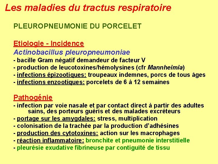 Les maladies du tractus respiratoire PLEUROPNEUMONIE DU PORCELET Etiologie - Incidence Actinobacillus pleuropneumoniae -