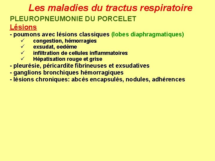 Les maladies du tractus respiratoire PLEUROPNEUMONIE DU PORCELET Lésions - poumons avec lésions classiques