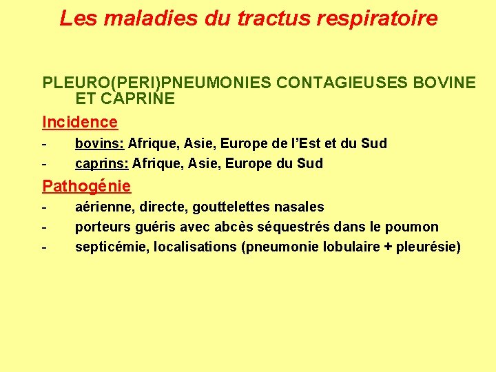 Les maladies du tractus respiratoire PLEURO(PERI)PNEUMONIES CONTAGIEUSES BOVINE ET CAPRINE Incidence - bovins: Afrique,