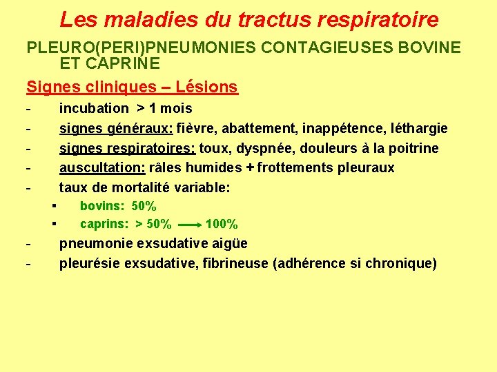 Les maladies du tractus respiratoire PLEURO(PERI)PNEUMONIES CONTAGIEUSES BOVINE ET CAPRINE Signes cliniques – Lésions