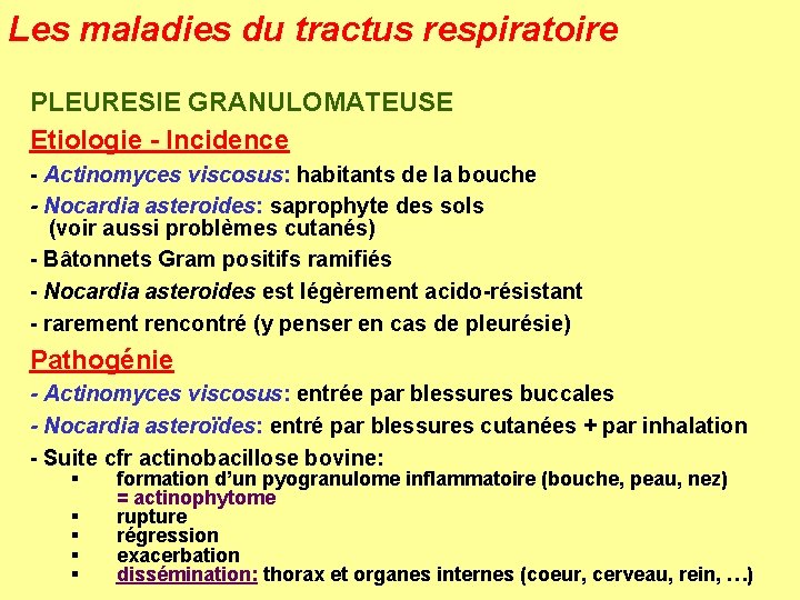 Les maladies du tractus respiratoire PLEURESIE GRANULOMATEUSE Etiologie - Incidence - Actinomyces viscosus: habitants