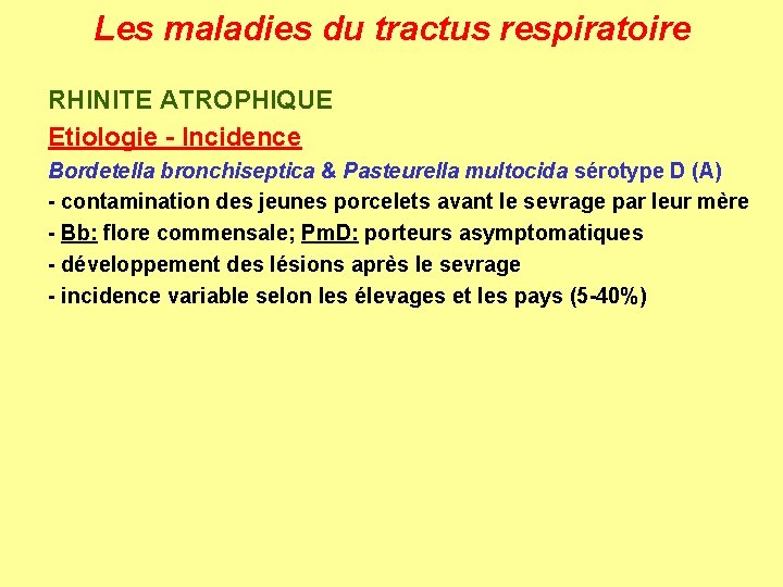 Les maladies du tractus respiratoire RHINITE ATROPHIQUE Etiologie - Incidence Bordetella bronchiseptica & Pasteurella