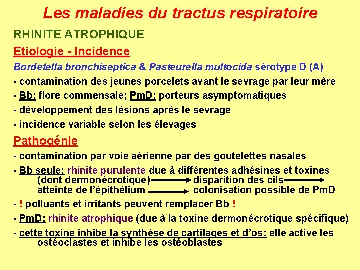 Les maladies du tractus respiratoire RHINITE ATROPHIQUE Etiologie - Incidence Bordetella bronchiseptica & Pasteurella