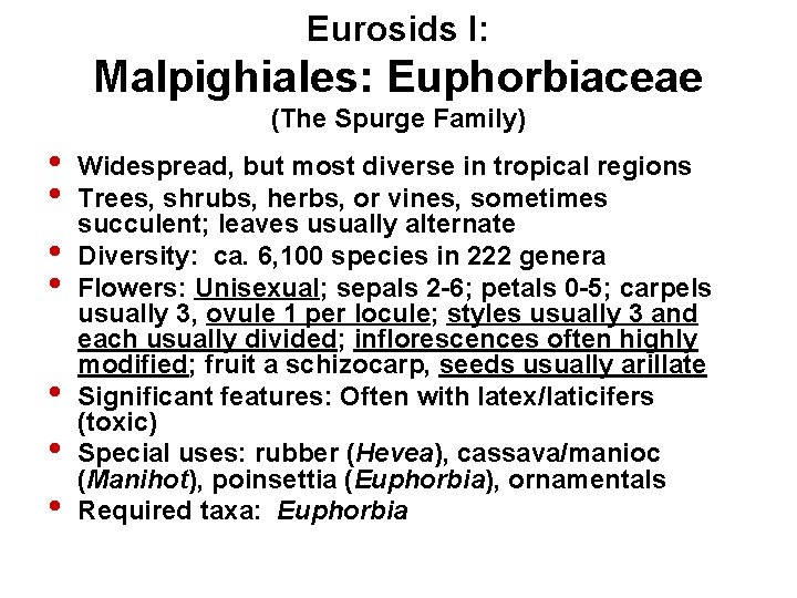 Eurosids I: Malpighiales: Euphorbiaceae (The Spurge Family) • • Widespread, but most diverse in