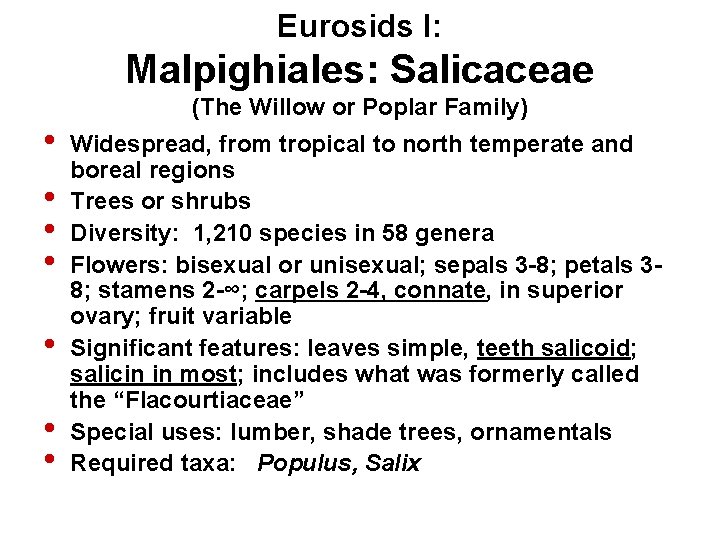 Eurosids I: Malpighiales: Salicaceae • • (The Willow or Poplar Family) Widespread, from tropical