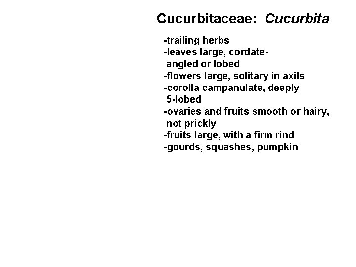 Cucurbitaceae: Cucurbita -trailing herbs -leaves large, cordateangled or lobed -flowers large, solitary in axils