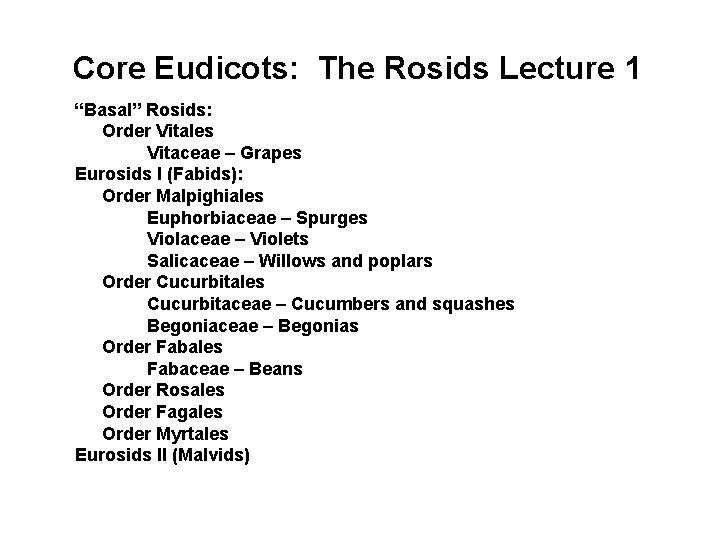 Core Eudicots: The Rosids Lecture 1 “Basal” Rosids: Order Vitales Vitaceae – Grapes Eurosids