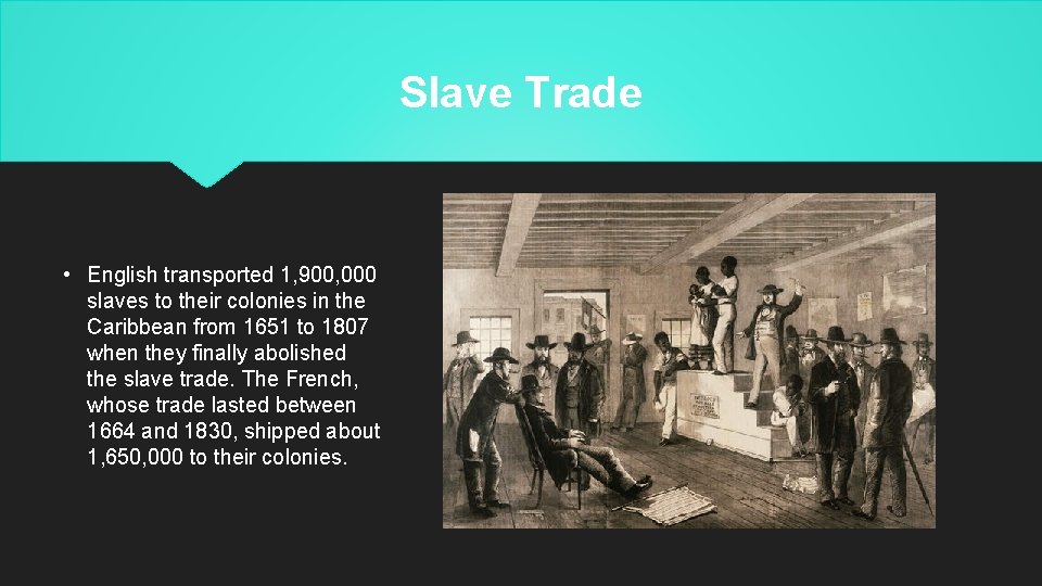 Slave Trade • English transported 1, 900, 000 slaves to their colonies in the