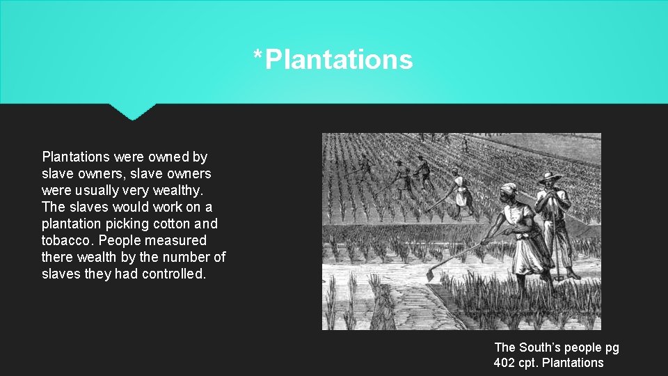 *Plantations were owned by slave owners, slave owners were usually very wealthy. The slaves
