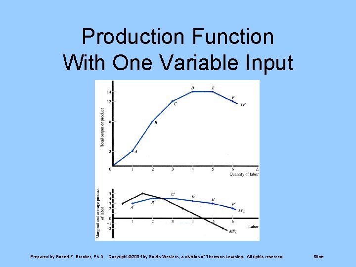 Production Function With One Variable Input Prepared by Robert F. Brooker, Ph. D. Copyright