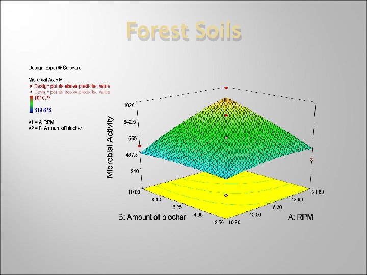 Forest Soils 