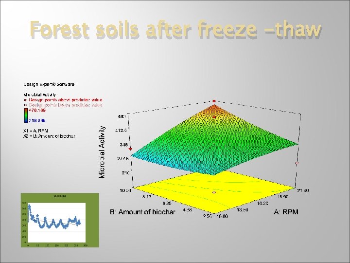 Forest soils after freeze -thaw 