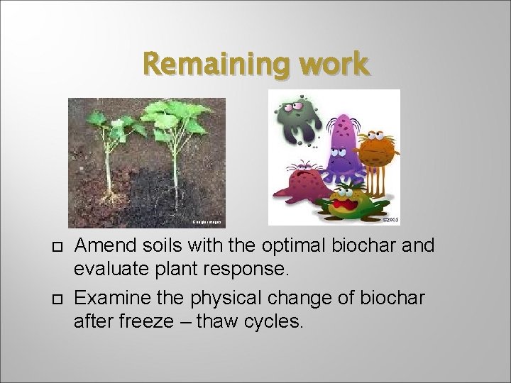 Remaining work Google images Amend soils with the optimal biochar and evaluate plant response.