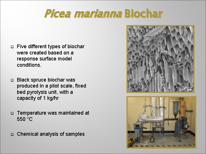 Picea marianna Biochar q Five different types of biochar were created based on a