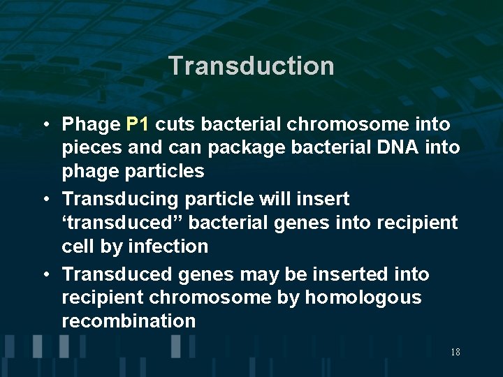 Transduction • Phage P 1 cuts bacterial chromosome into pieces and can package bacterial